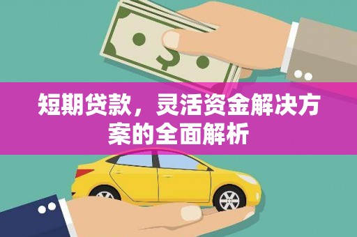 玉树短期贷款，灵活资金解决方案的全面解析