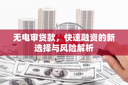 玉树无电审贷款，快速融资的新选择与风险解析