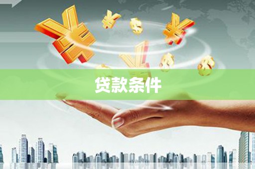玉树贷款条件