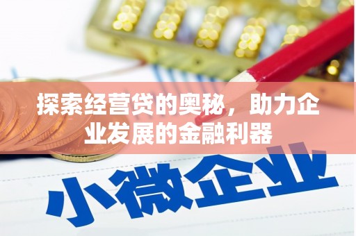 玉树探索经营贷的奥秘，助力企业发展的金融利器