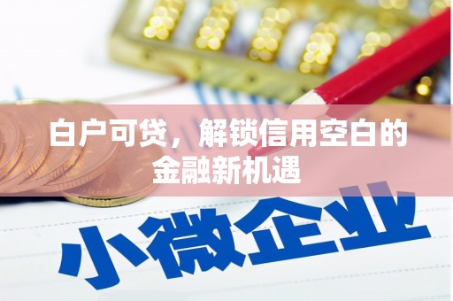 玉树白户可贷，解锁信用空白的金融新机遇