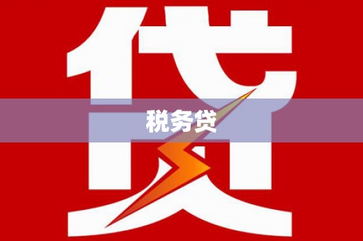 玉树税务贷