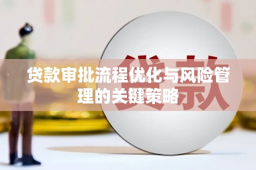 玉树贷款审批流程优化与风险管理的关键策略