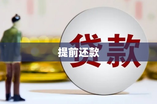 玉树提前还款