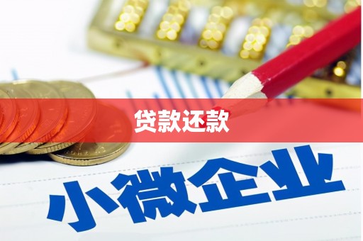 玉树贷款还款