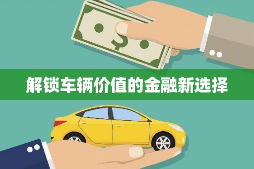 玉树解锁车辆价值的金融新选择