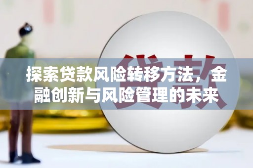 玉树探索贷款风险转移方法，金融创新与风险管理的未来