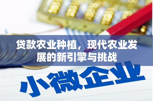 玉树贷款农业种植，现代农业发展的新引擎与挑战