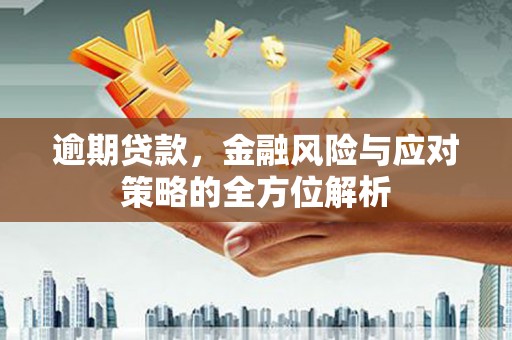 玉树逾期贷款，金融风险与应对策略的全方位解析
