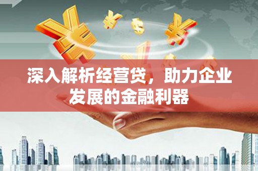 玉树深入解析经营贷，助力企业发展的金融利器