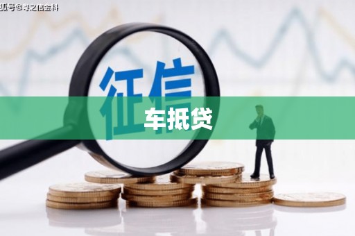 玉树车抵贷