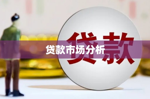 玉树贷款市场分析