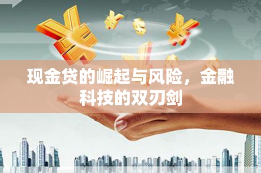 玉树现金贷的崛起与风险，金融科技的双刃剑
