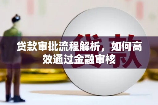 玉树贷款审批流程解析，如何高效通过金融审核