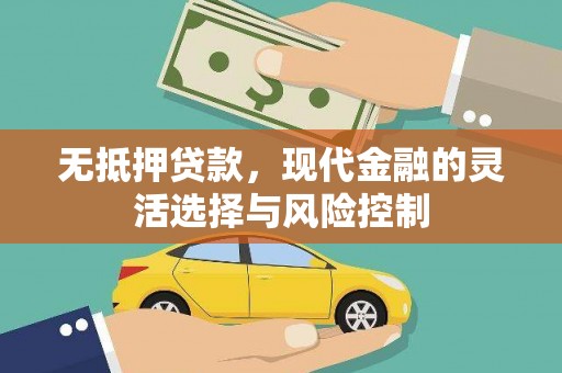 玉树无抵押贷款，现代金融的灵活选择与风险控制