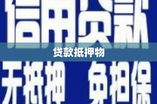 玉树贷款抵押物