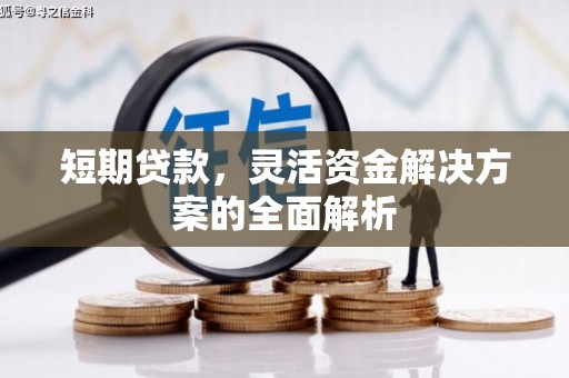 玉树短期贷款，灵活资金解决方案的全面解析