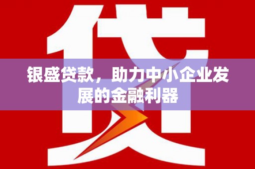 玉树银盛贷款，助力中小企业发展的金融利器