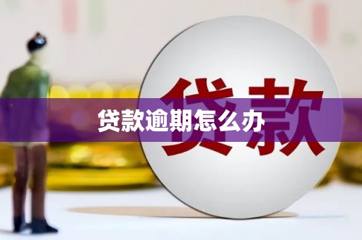 玉树贷款逾期怎么办