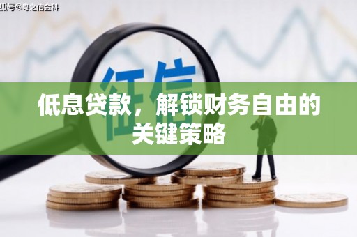 玉树低息贷款，解锁财务自由的关键策略