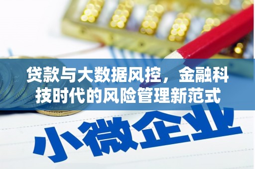 玉树贷款与大数据风控，金融科技时代的风险管理新范式