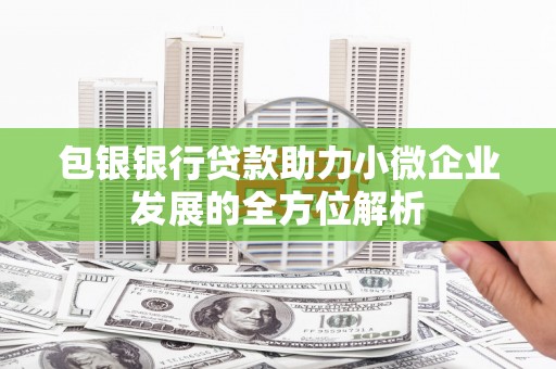 玉树包银银行贷款助力小微企业发展的全方位解析