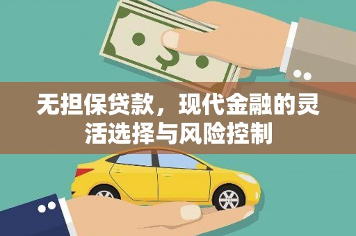 玉树无担保贷款，现代金融的灵活选择与风险控制