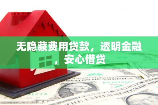 玉树无隐藏费用贷款，透明金融，安心借贷