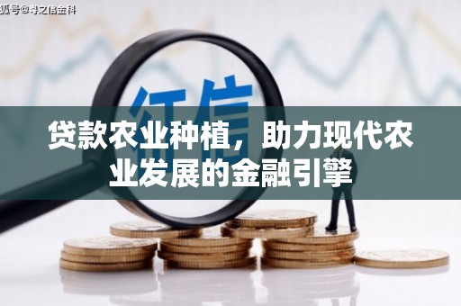 玉树贷款农业种植，助力现代农业发展的金融引擎