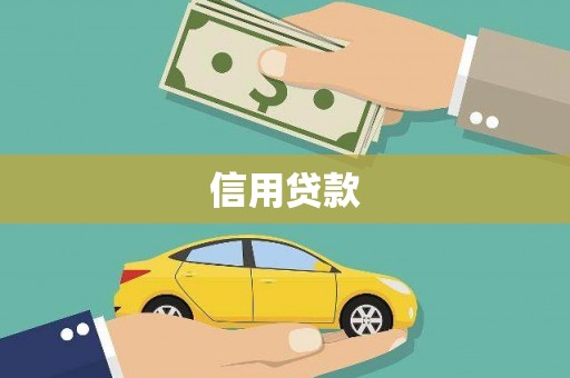 玉树信用贷款