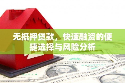 玉树无抵押贷款，快速融资的便捷选择与风险分析