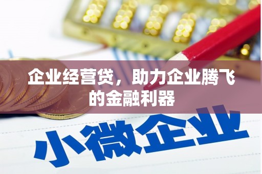 玉树企业经营贷，助力企业腾飞的金融利器