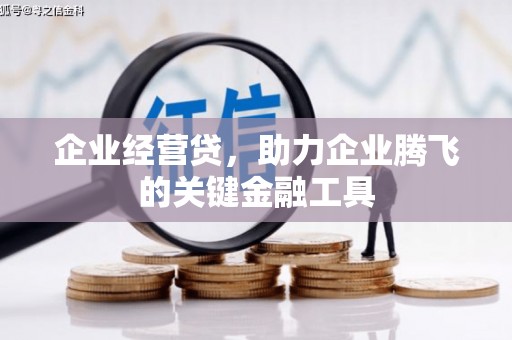 玉树企业经营贷，助力企业腾飞的关键金融工具