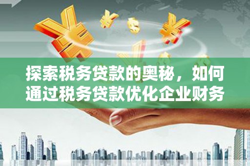 玉树探索税务贷款的奥秘，如何通过税务贷款优化企业财务