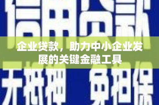 玉树企业贷款，助力中小企业发展的关键金融工具