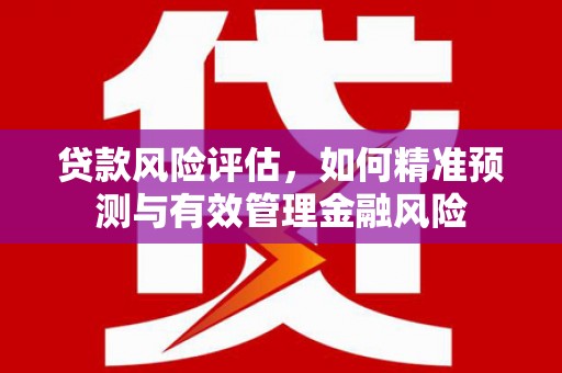 玉树贷款风险评估，如何精准预测与有效管理金融风险