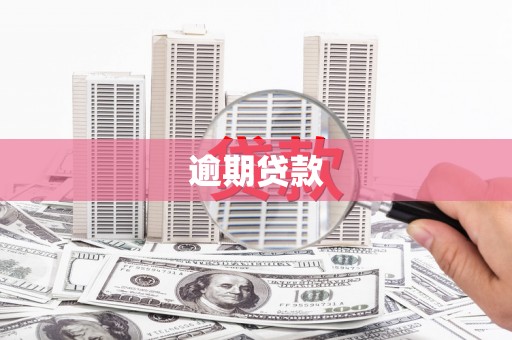 玉树逾期贷款