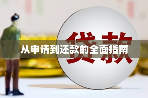 玉树从申请到还款的全面指南