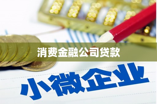 玉树消费金融公司贷款