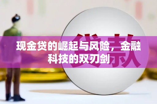 玉树现金贷的崛起与风险，金融科技的双刃剑