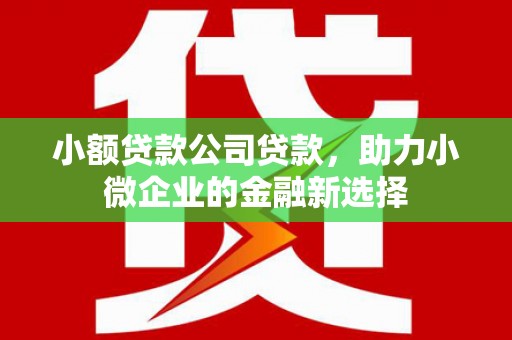 玉树小额贷款公司贷款，助力小微企业的金融新选择