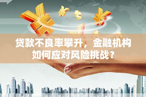 玉树贷款不良率攀升，金融机构如何应对风险挑战？