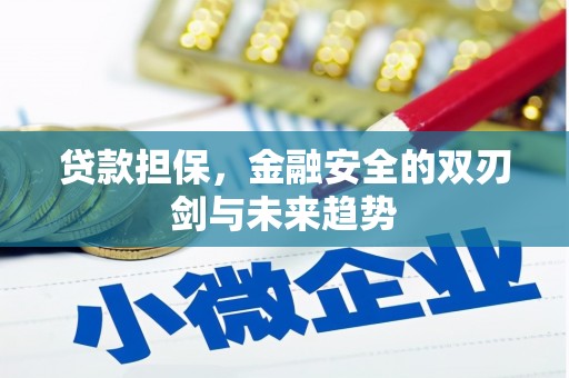 玉树贷款担保，金融安全的双刃剑与未来趋势