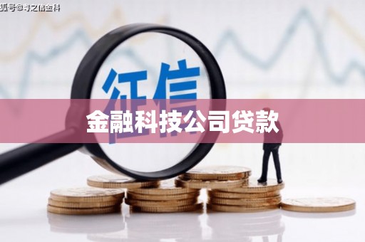 玉树金融科技公司贷款