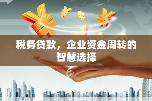 玉树税务贷款，企业资金周转的智慧选择