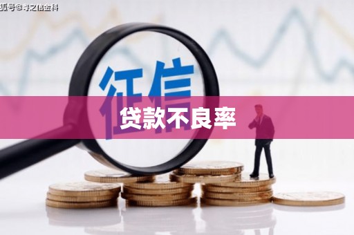玉树贷款不良率