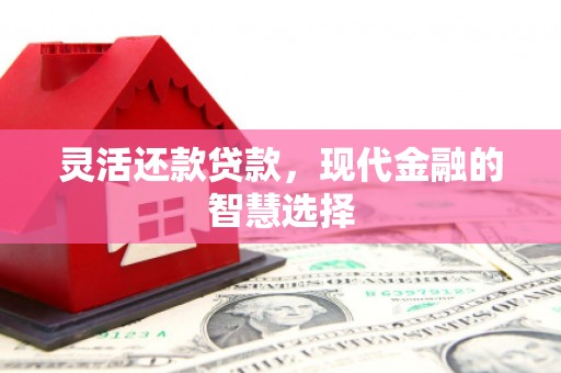 玉树灵活还款贷款，现代金融的智慧选择