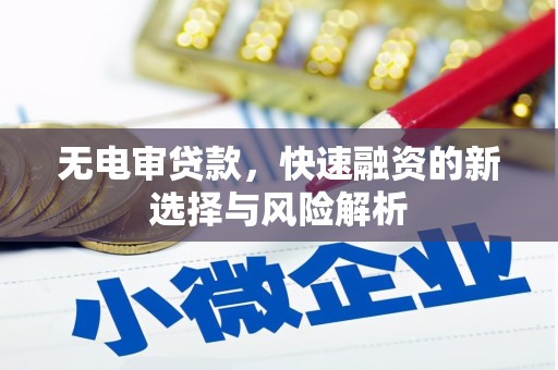 玉树无电审贷款，快速融资的新选择与风险解析