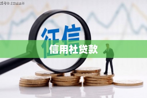 玉树信用社贷款