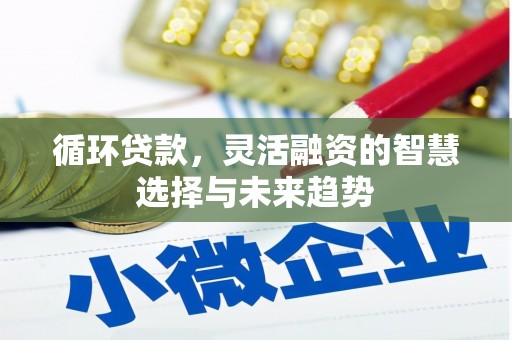 玉树循环贷款，灵活融资的智慧选择与未来趋势